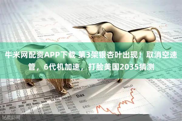 牛米网配资APP下载 第3架银杏叶出现！取消空速管，6代机加速，打脸美国2035猜测