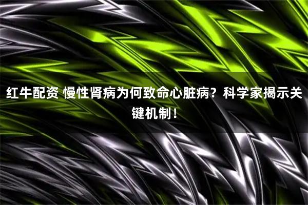 红牛配资 慢性肾病为何致命心脏病？科学家揭示关键机制！